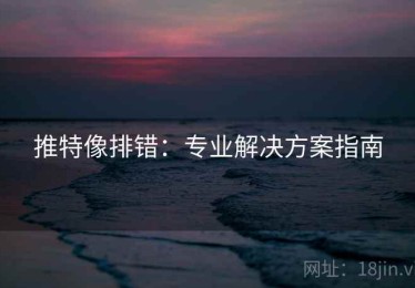 推特像排错：专业解决方案指南