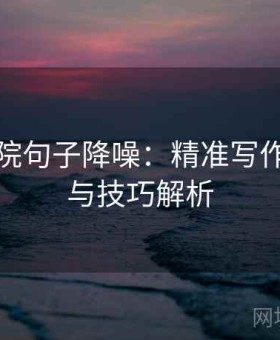 蜂鸟影院句子降噪：精准写作的艺术与技巧解析