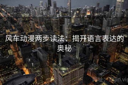 风车动漫两步读法：揭开语言表达的奥秘