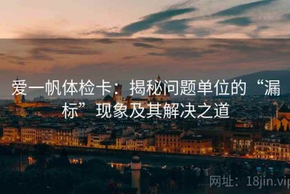 爱一帆体检卡：揭秘问题单位的“漏标”现象及其解决之道