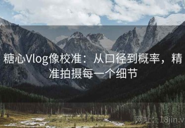 糖心Vlog像校准：从口径到概率，精准拍摄每一个细节
