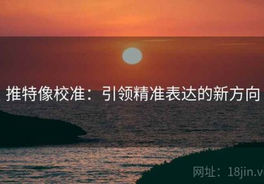 推特像校准：引领精准表达的新方向