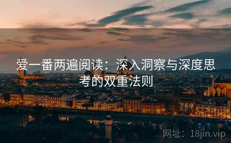 爱一番两遍阅读：深入洞察与深度思考的双重法则