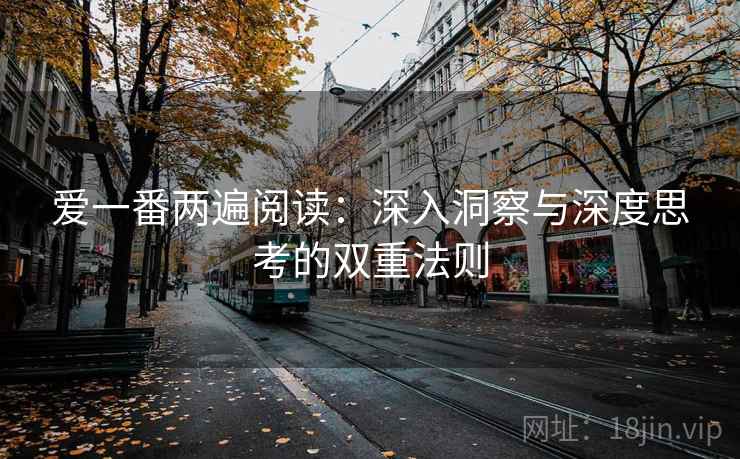 爱一番两遍阅读：深入洞察与深度思考的双重法则
