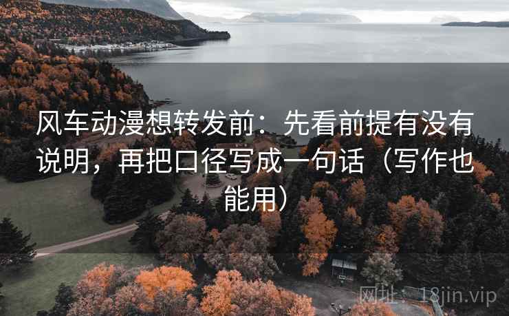 风车动漫想转发前：先看前提有没有说明，再把口径写成一句话（写作也能用）